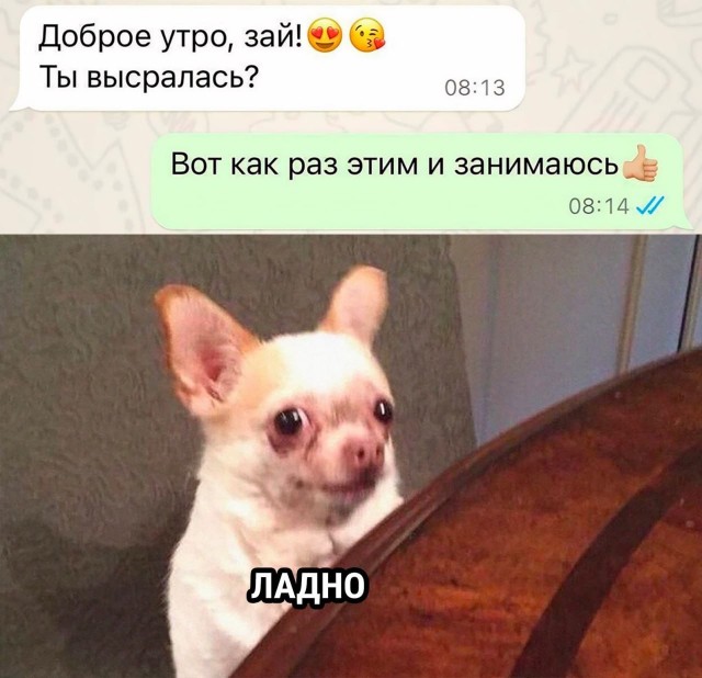 Забавные картинки, шутки из этих ваших интернетов