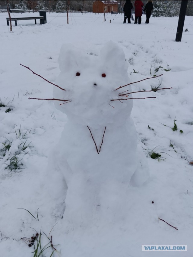 Котики из снега и котики на снегу