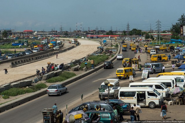 Только крокодилы спасут эту страну от мудаков!