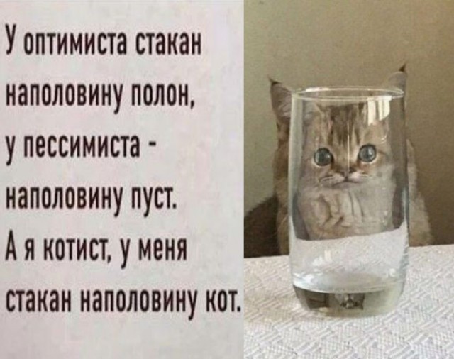 Так себе картинки 12.06.24