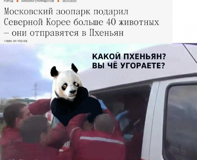 Нигде нельзя, а в КНДР можно