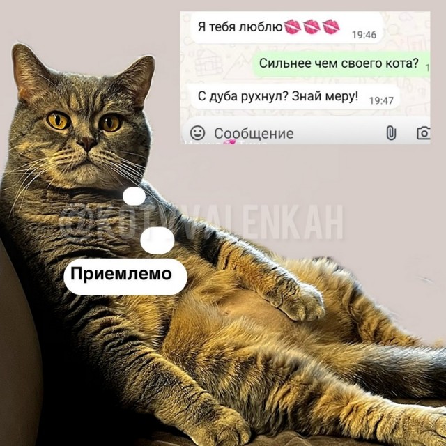 Завалялось тут случайно немного забавных картинок