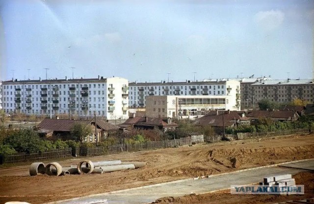 Жители запада Москвы организовали дежурства, чтобы защитить свой район от вырубки деревьев.