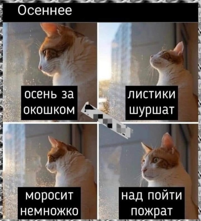 Завалялось тут случайно немного забавных картинок