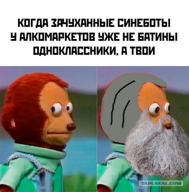 Веселые картинки в понедельник (29.10)