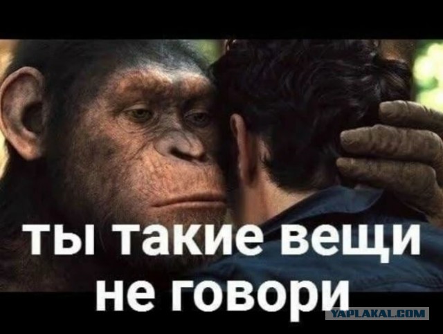 Телеведущий и режиссёр Тигран Кеосаян впал в кому после клинической смерти