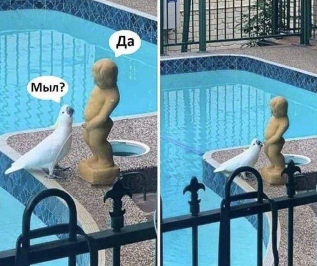 Картинки выходного дня
