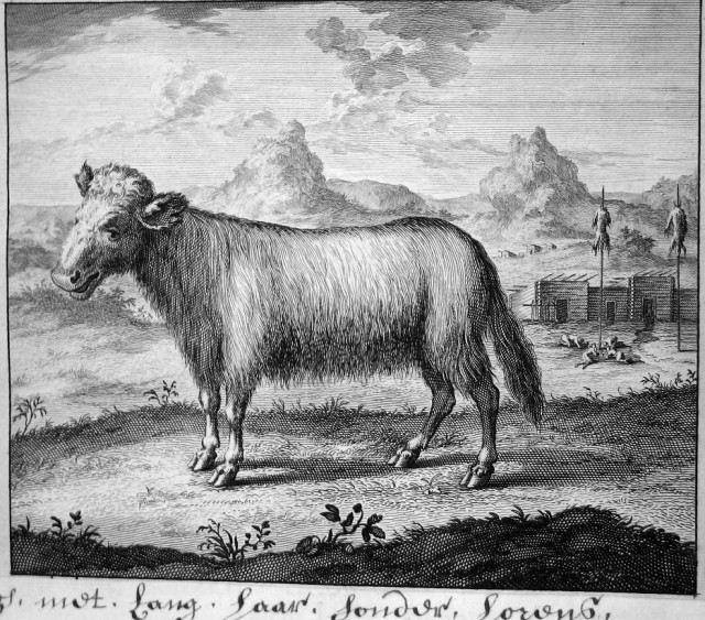 Николаас Витсен «Северная и Восточная Тартария», 1692 г.