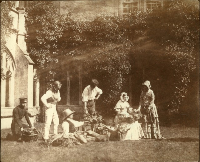 Окно в прошлое: 30 первых фотоснимков, сделанных в 1839 году Джоном Гершелем