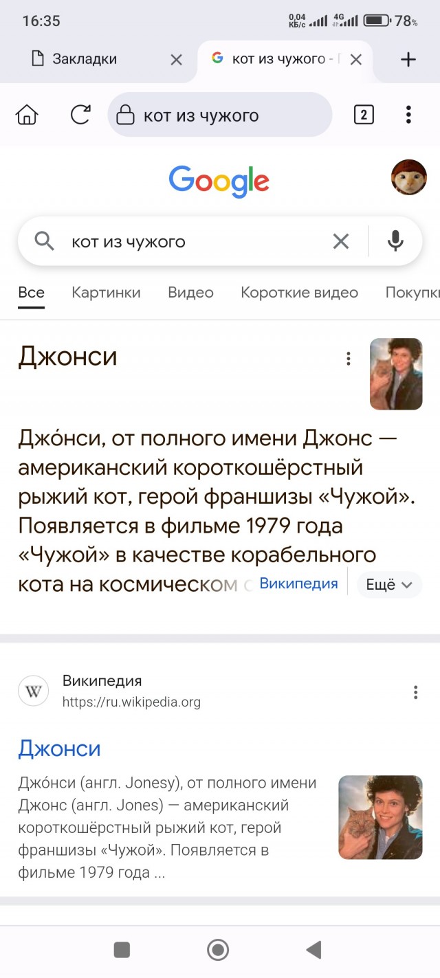 Спящий кот