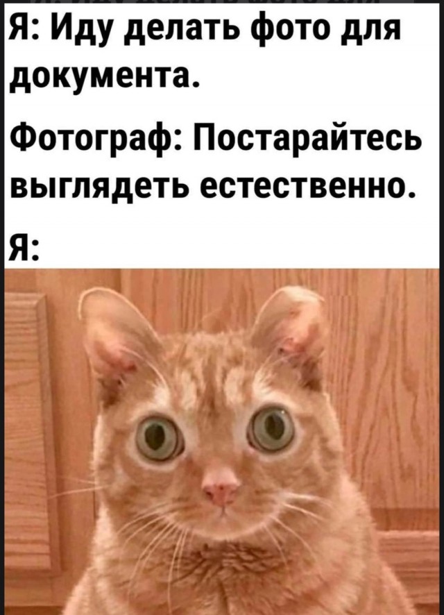 Так себе картинки 03.05.25