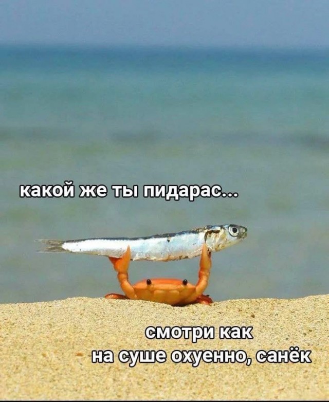 Так себе картинки 28.05.25