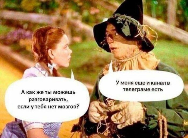 Интернет мемчики за пол дня, ну сколько набралось