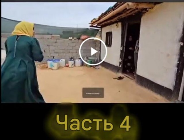 Вот где веселуха