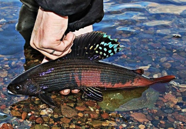 Прикольные и просто красивые картинки 18.07.2025