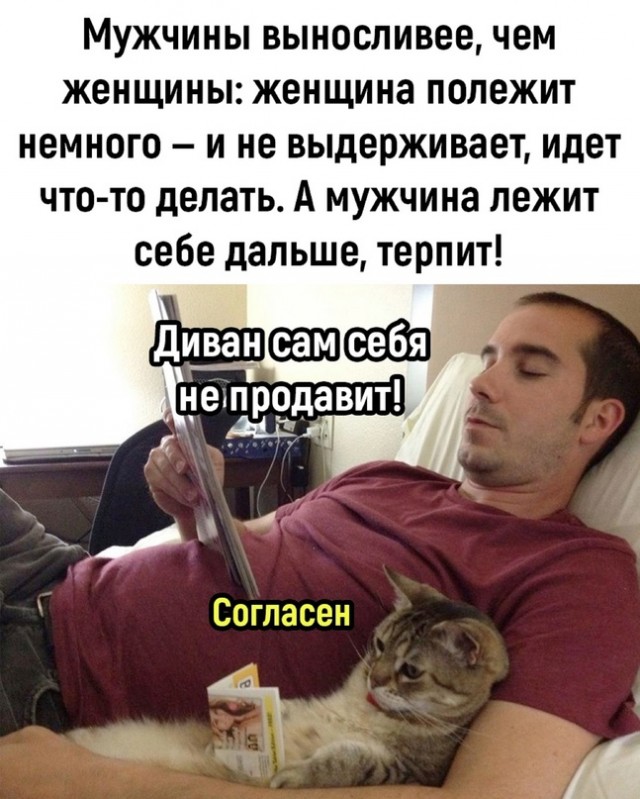 Картинки для деградации 9 (разной степени свежести)
