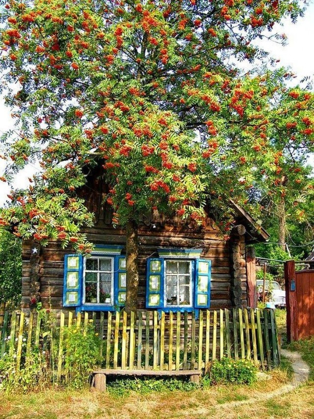 Прикольные и просто красивые картинки 01.08.2025