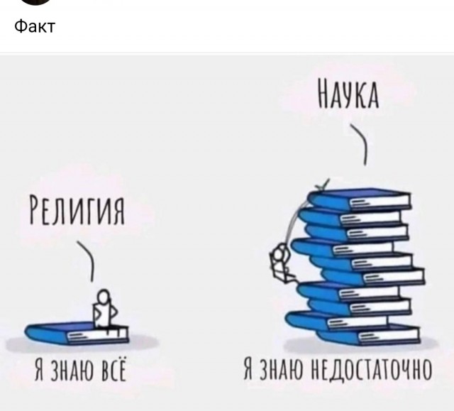 Весёлый полтишок 08.09.25