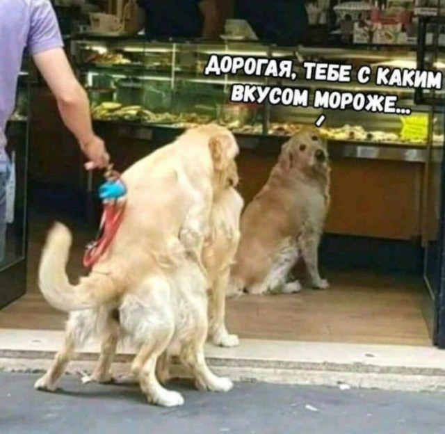 Картинки для деградации 56 (разной степени свежести)