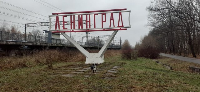 А почему тишина в собакочетверг?