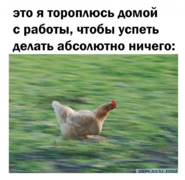 Разной свежести картинки
