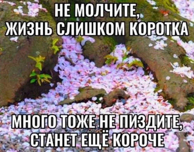 Веселое настроение в картинках (02.12.2025)