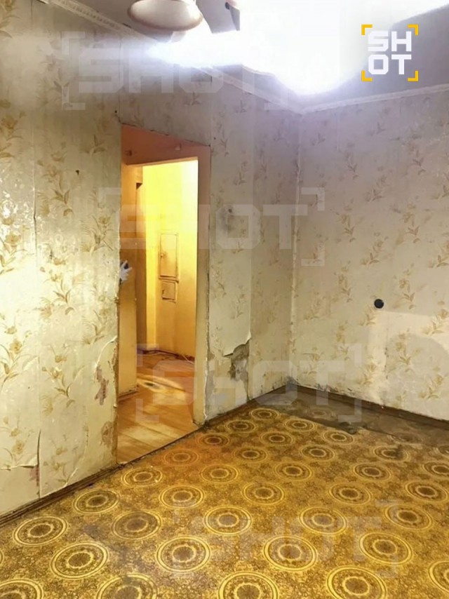 «Схема Долиной наоборот»: в Подмосковье бабушку выгнали из собственной квартиры на улицу вместе с кошкой и собакой.
