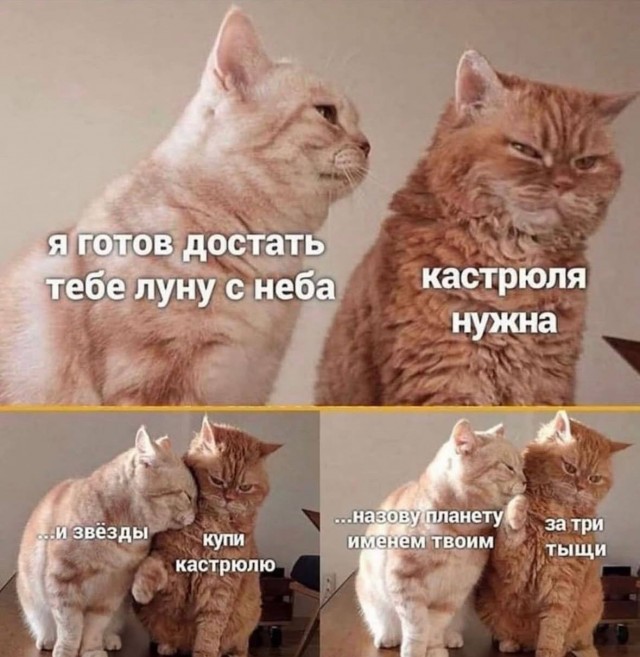 Субботние картинки