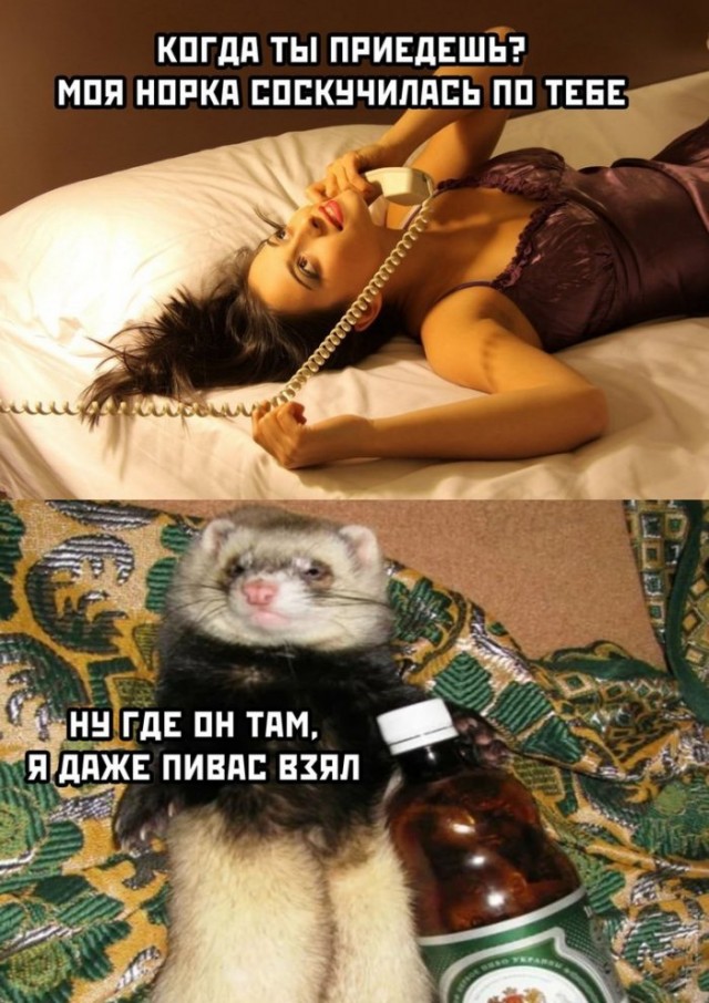 Веселые картинки в понедельник (который вторник) (10.03)