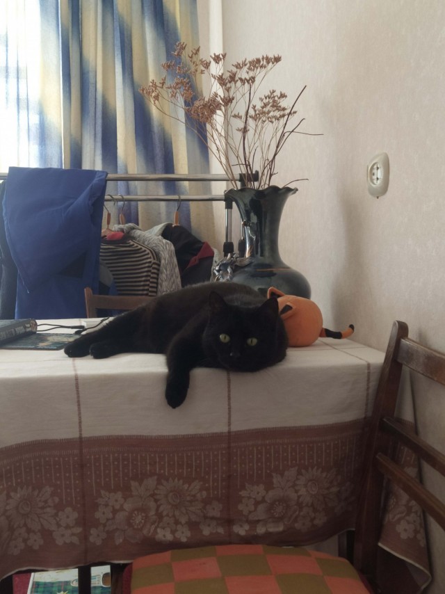 Спасибо...