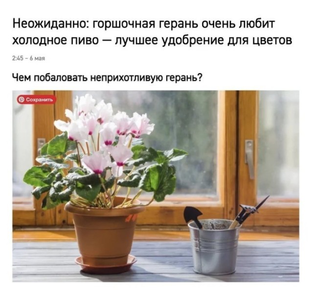 Прикольные и просто красивые картинки 15.05.2026