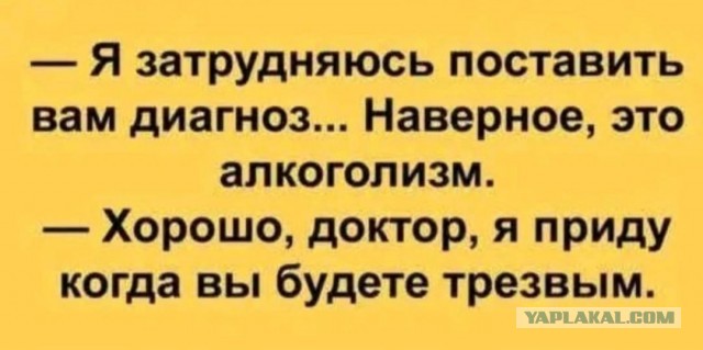 Веселые картинки в пятницу (21.08)