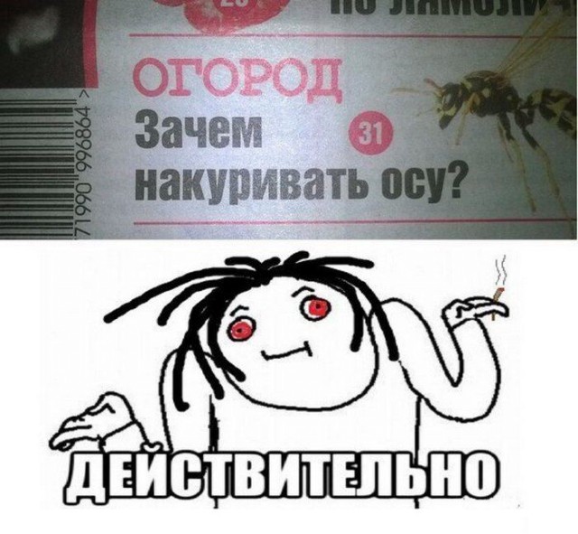 Картинки из интернетов