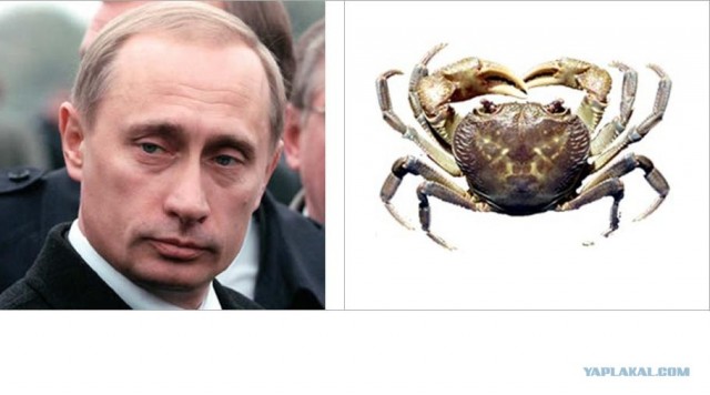 Слов не хватает!