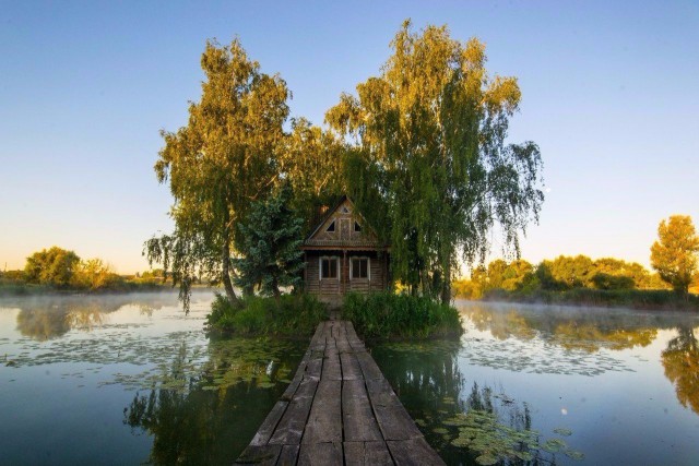 Порция картинок