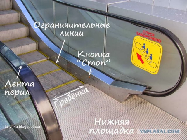 В сети появилось видео падения детей с эскалатора в Ставрополе