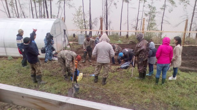 Житель якутского села нашёл в огороде бивни мамонта возрастом 400 тыс. лет