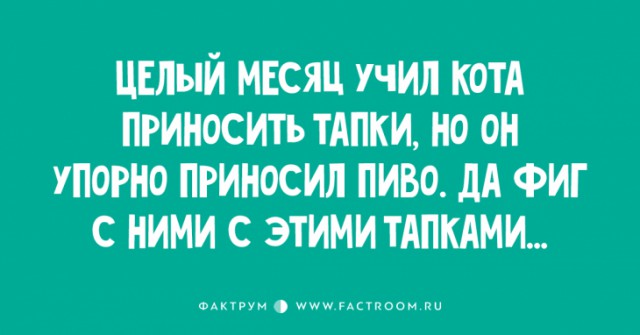 Подборка интересных и веселых картинок