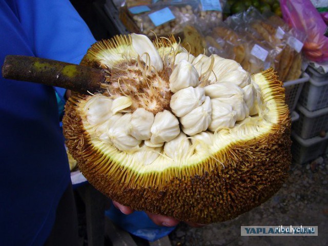 А вы знаете как растут эти продукты?