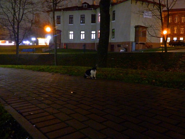 Навеяно темой про сравнение городов