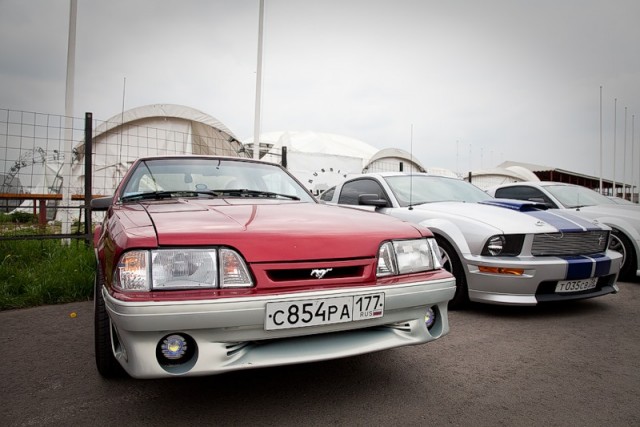 ДР mustang club