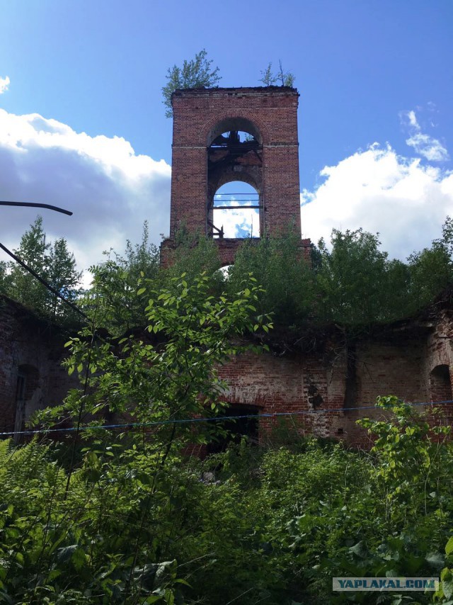 Заброшенная церковь в Мещерских лесах
