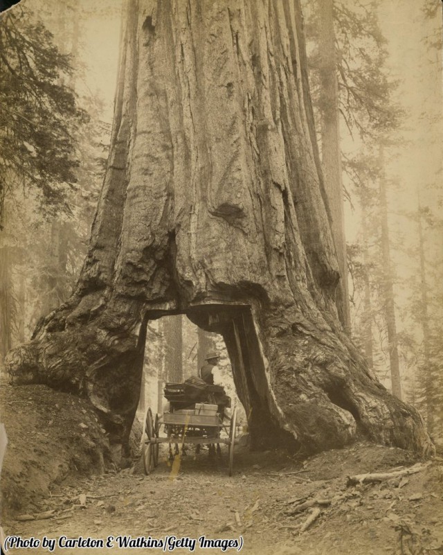 История в фотографиях