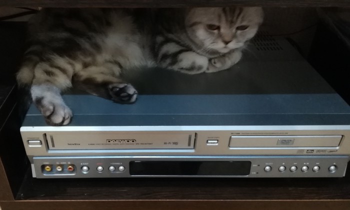 Ностальжи по VHS