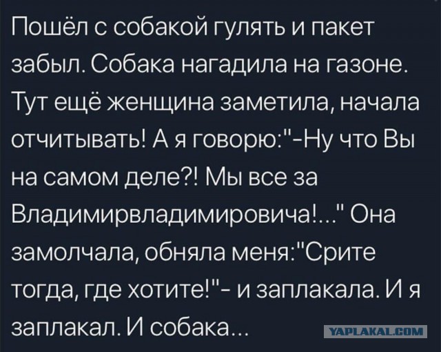Звезда "Уральских пельменей" озаботилась проблемой уборки собачьих экскрементов