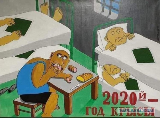 Бредзона 26.12.2019