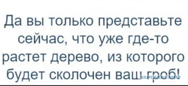 Бредзона 06.03.2020