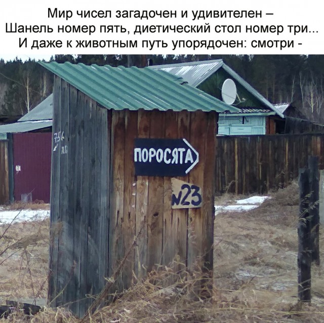 Бредзона 05.04.20