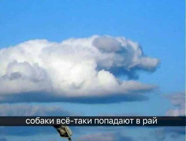 Чуток картинок 06.04.20