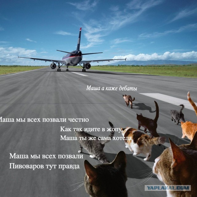 А вот и Навальный